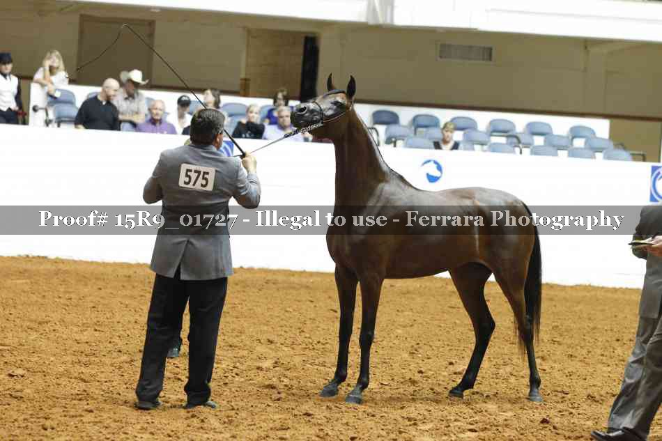 Proof Number 15R9_01727