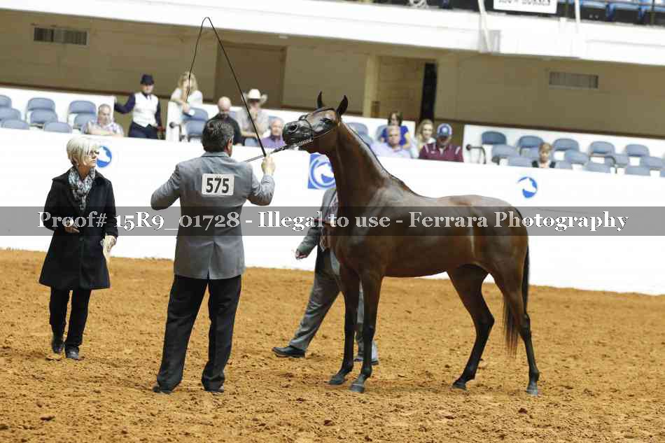 Proof Number 15R9_01728