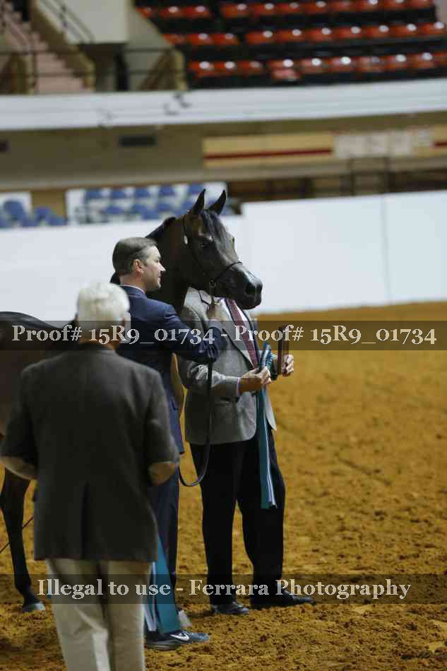 Proof Number 15R9_01734