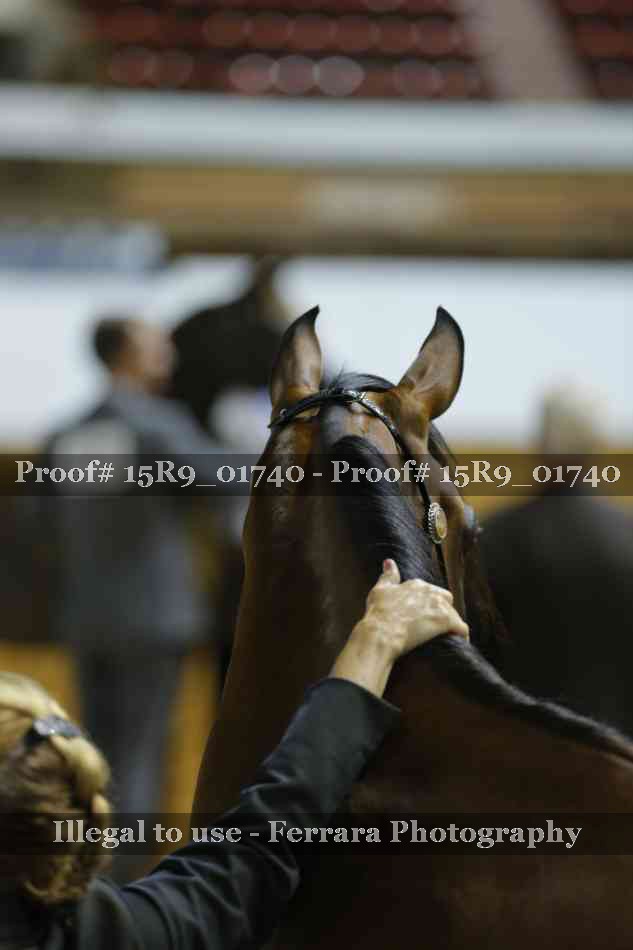 Proof Number 15R9_01740