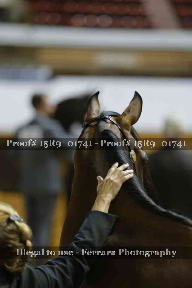 Proof Number 15R9_01741