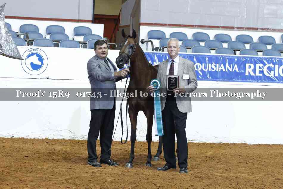 Proof Number 15R9_01743