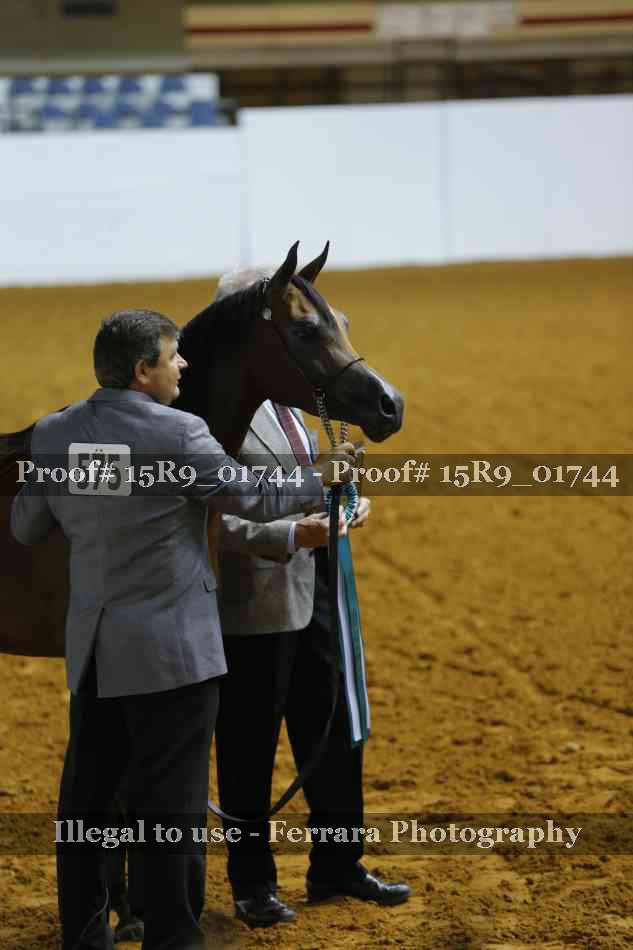 Proof Number 15R9_01744