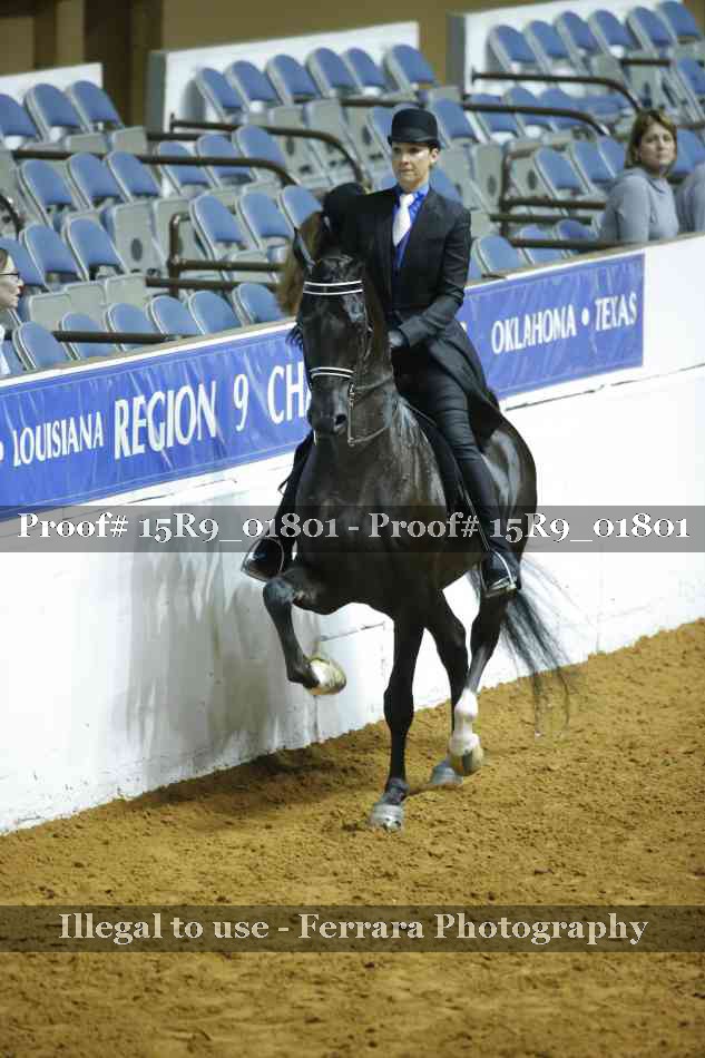Proof Number 15R9_01801