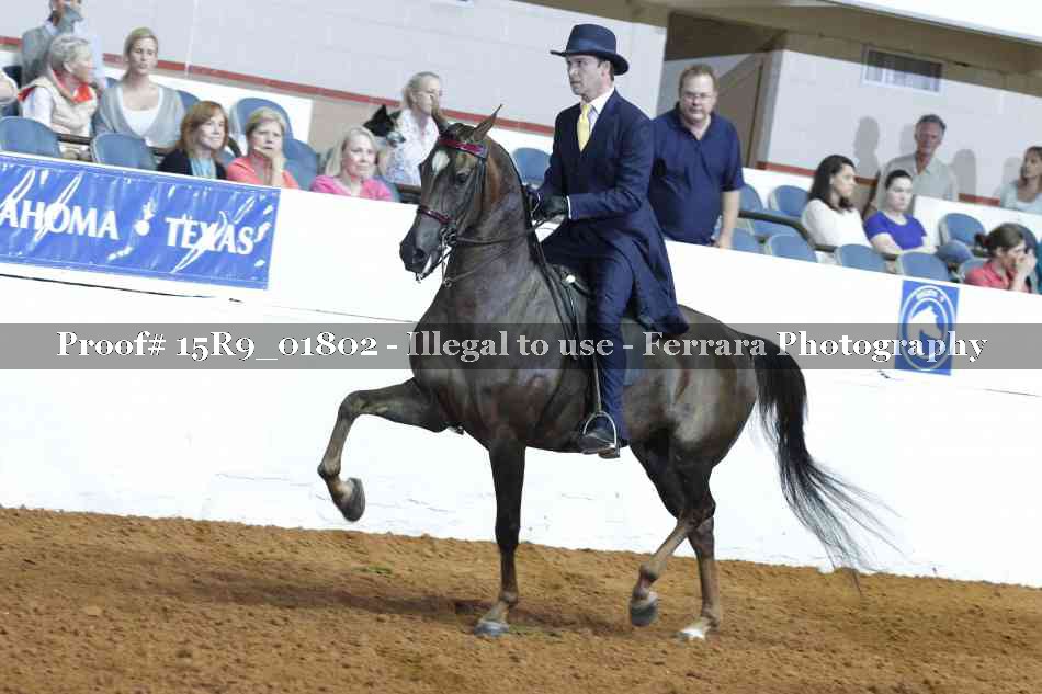 Proof Number 15R9_01802