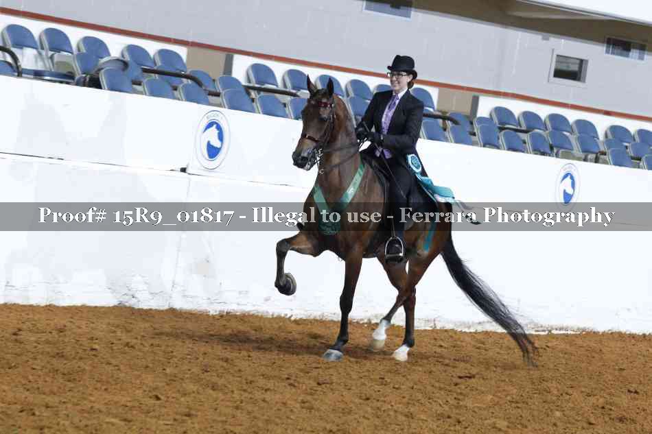Proof Number 15R9_01817