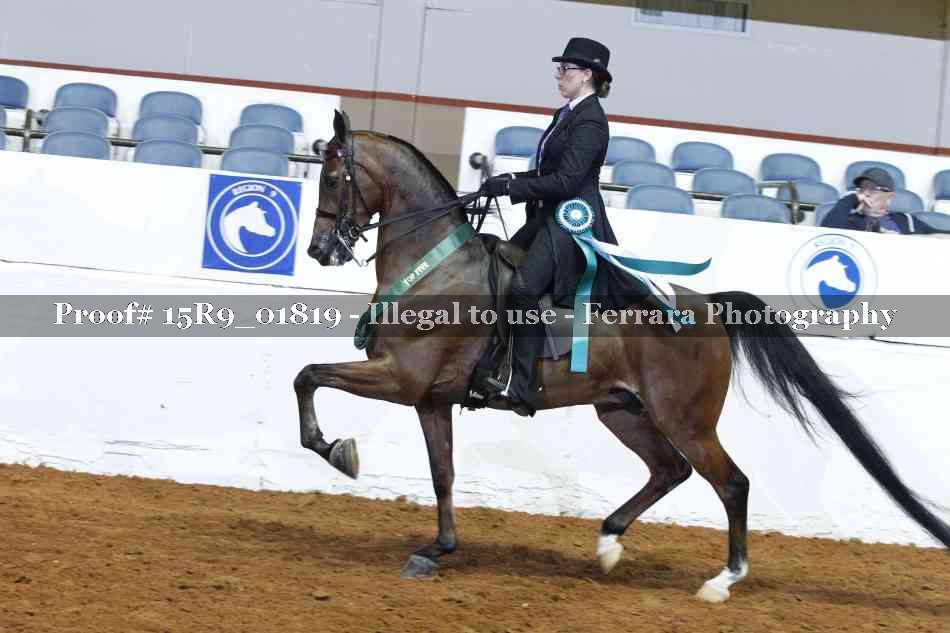 Proof Number 15R9_01819