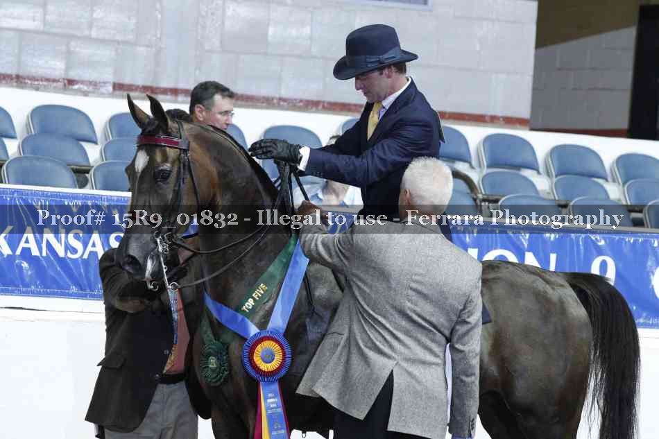 Proof Number 15R9_01832