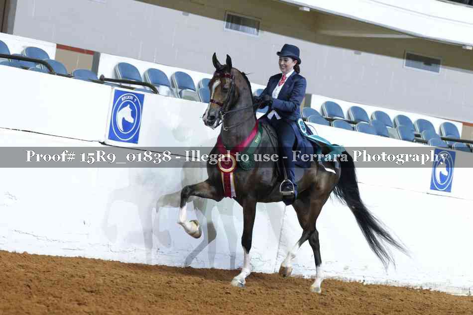 Proof Number 15R9_01838