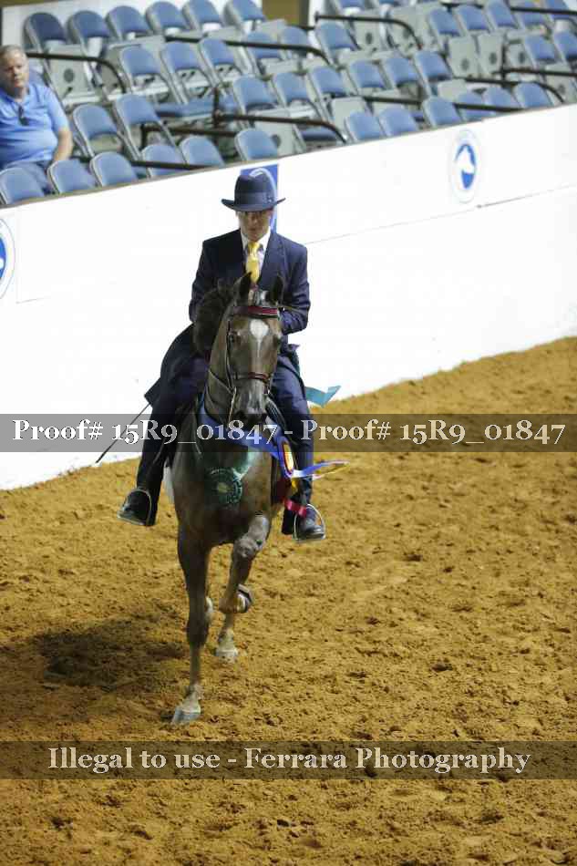 Proof Number 15R9_01847