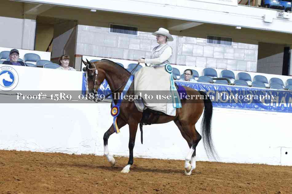 Proof Number 15R9_01879