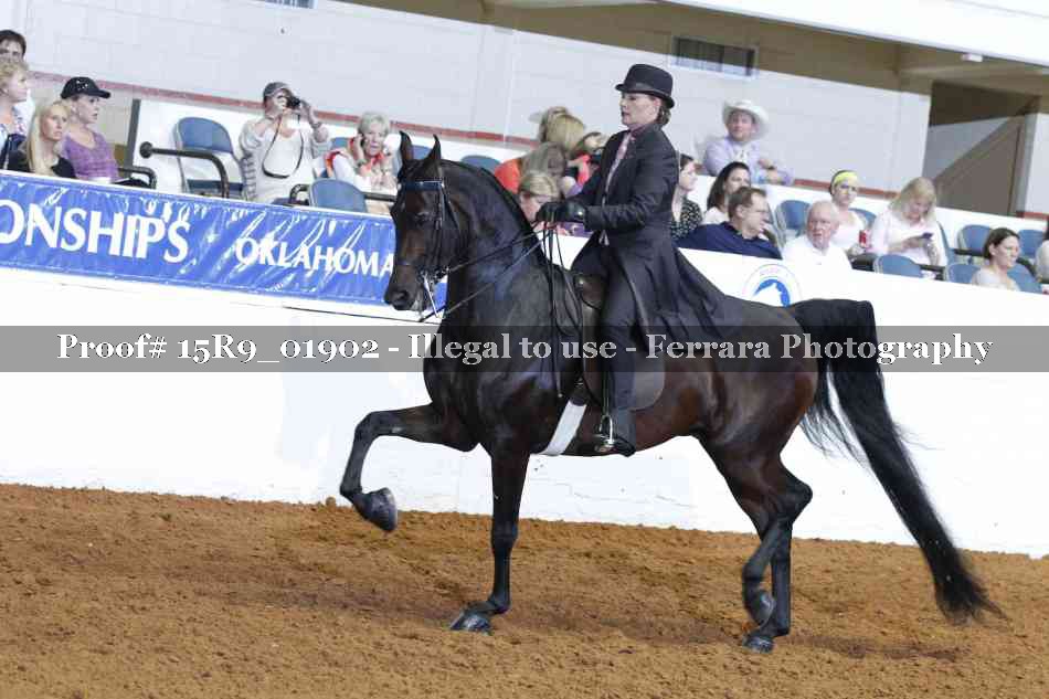 Proof Number 15R9_01902