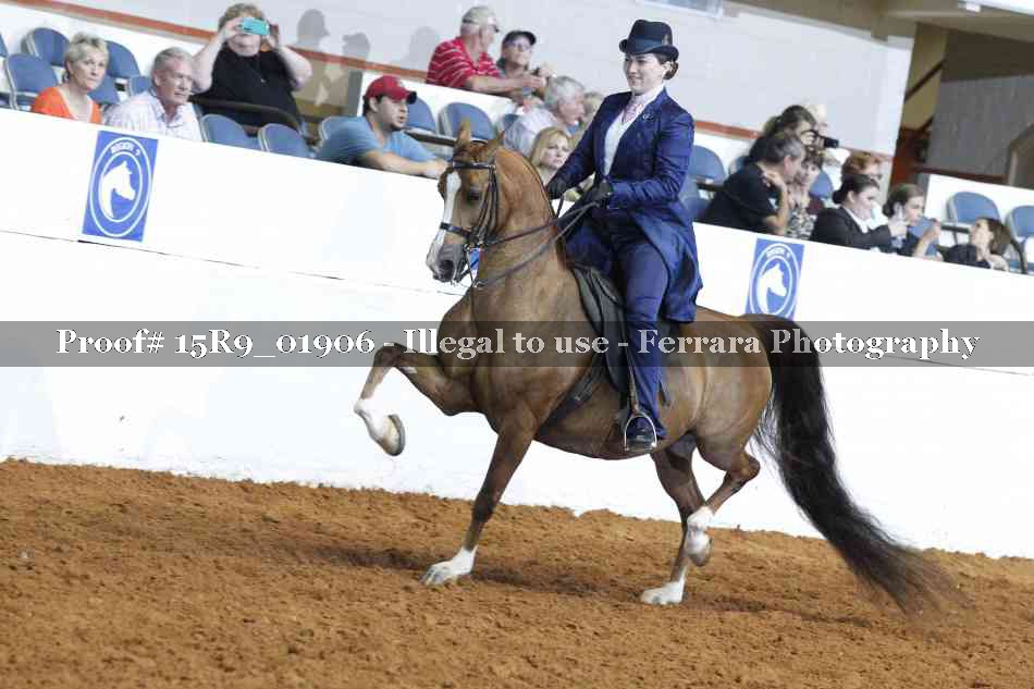 Proof Number 15R9_01906