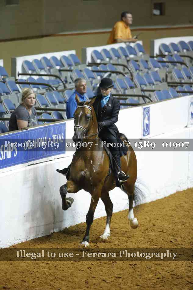 Proof Number 15R9_01907