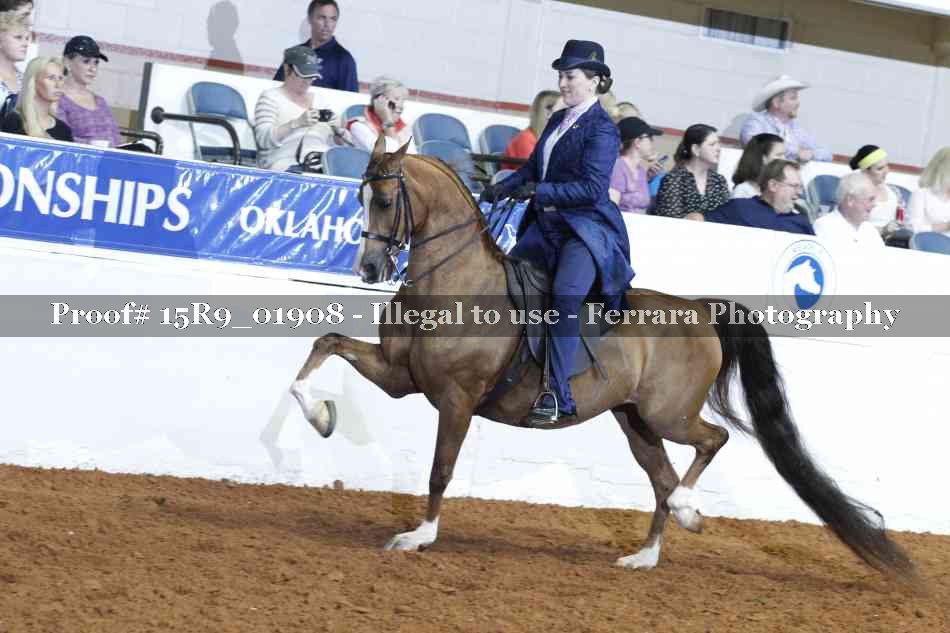 Proof Number 15R9_01908