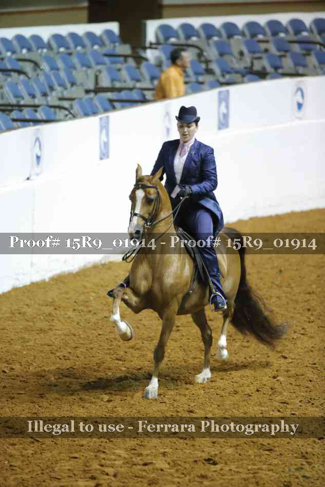 Proof Number 15R9_01914