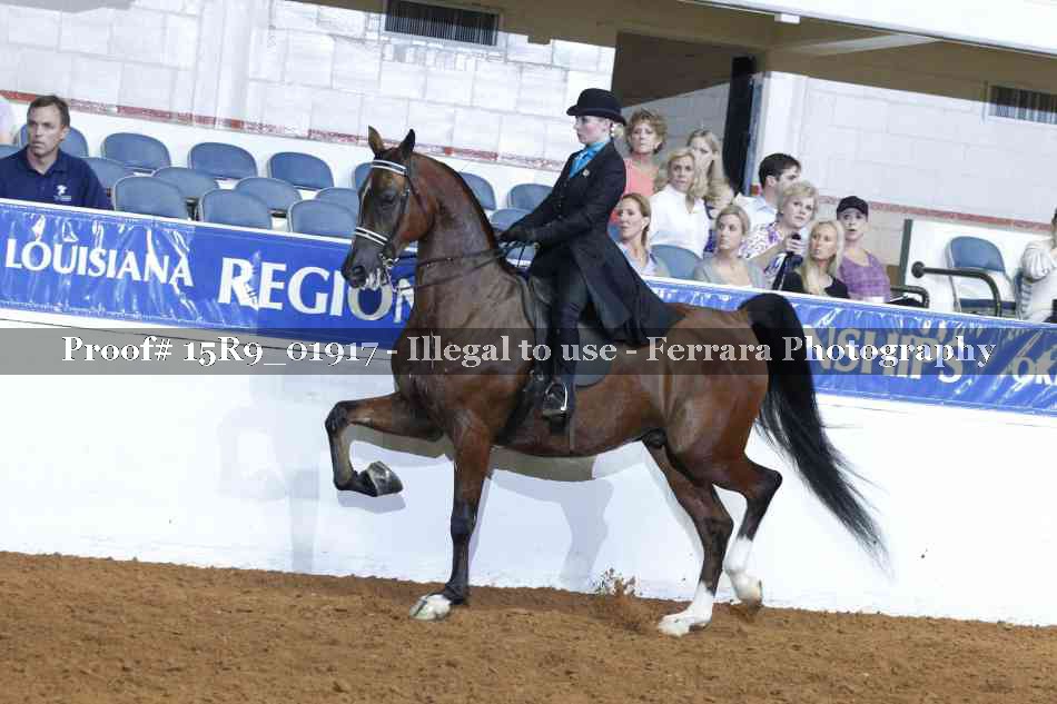 Proof Number 15R9_01917