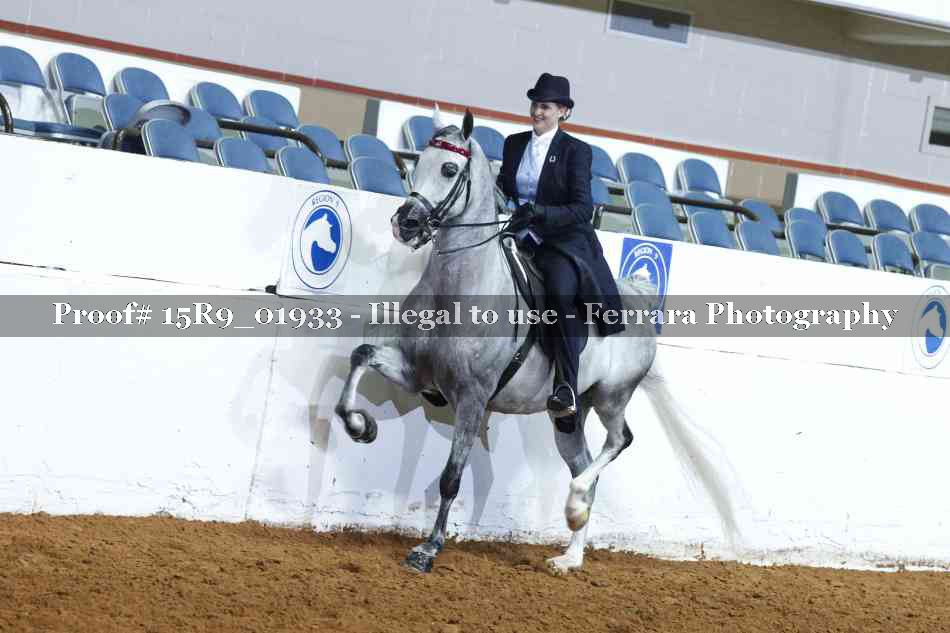 Proof Number 15R9_01933