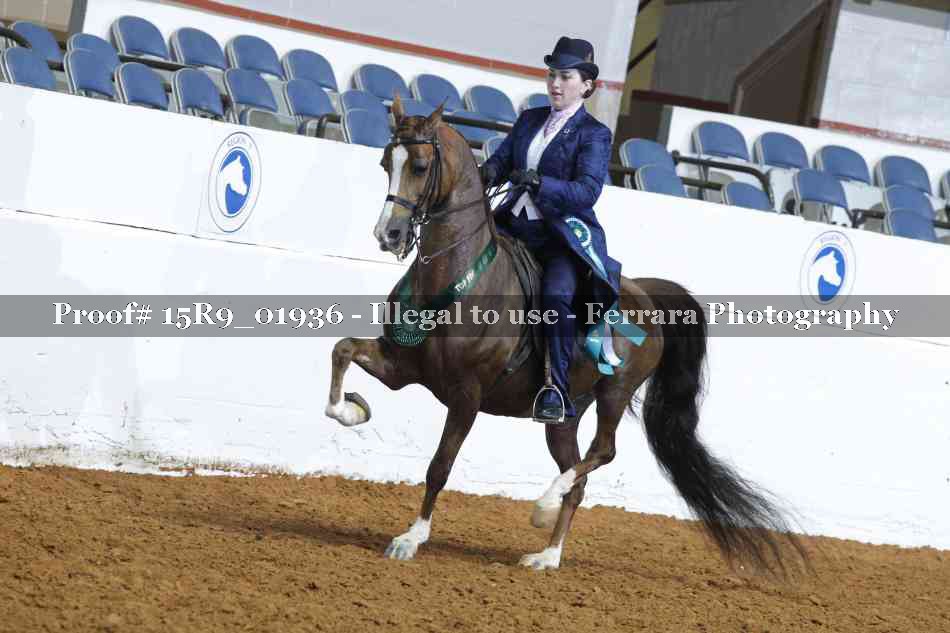 Proof Number 15R9_01936