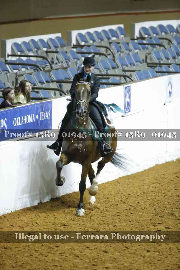 Proof Number 15R9_01945