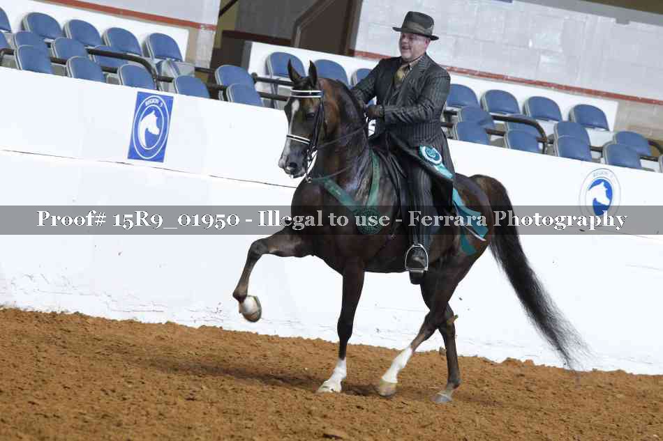 Proof Number 15R9_01950