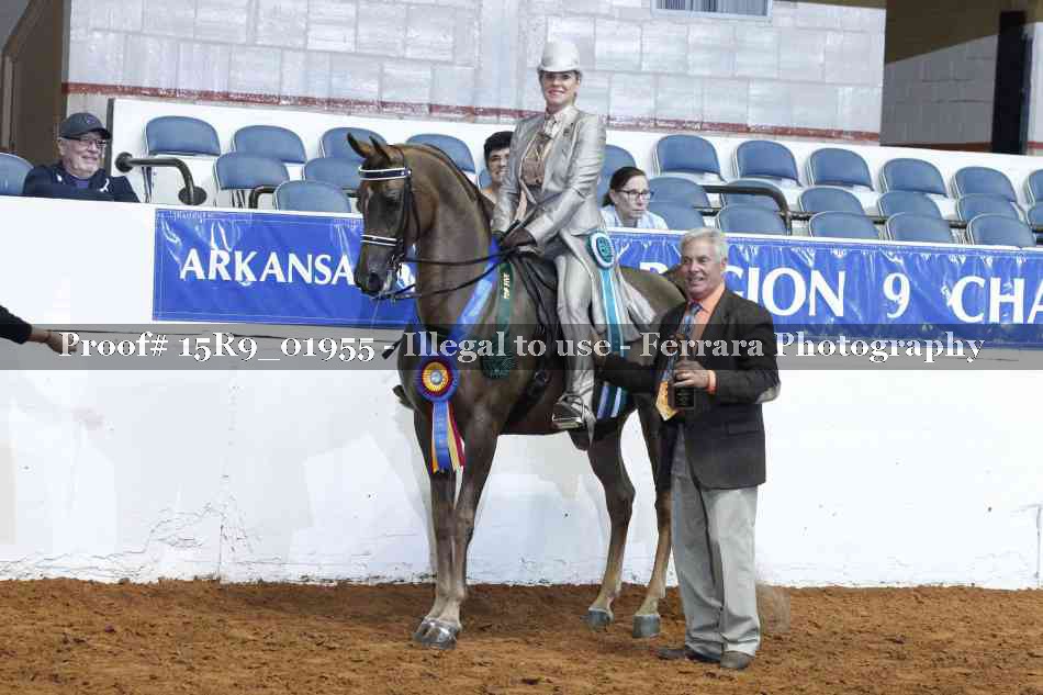 Proof Number 15R9_01955