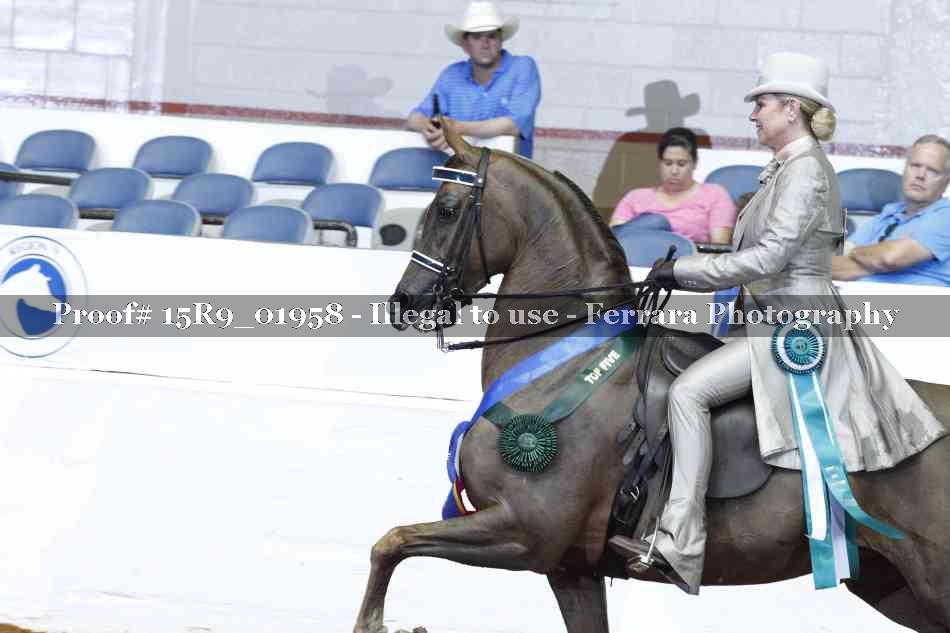 Proof Number 15R9_01958