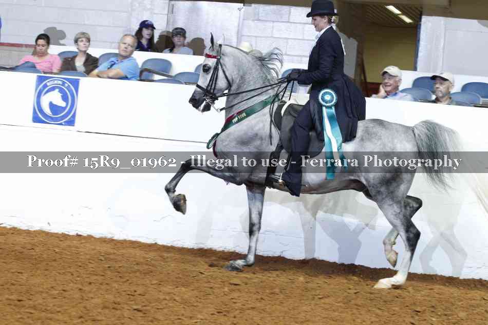Proof Number 15R9_01962