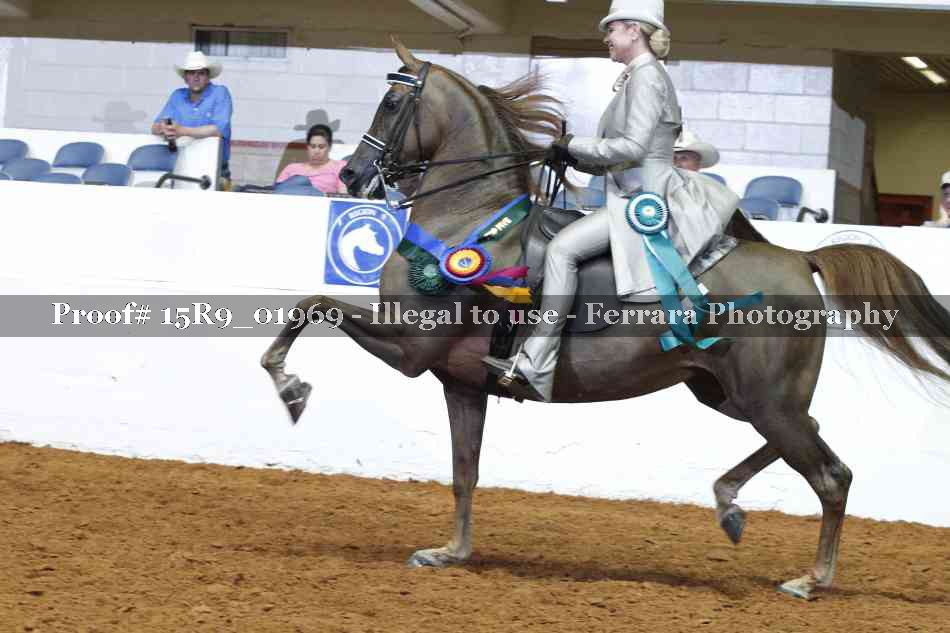 Proof Number 15R9_01969