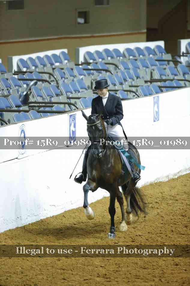 Proof Number 15R9_01989