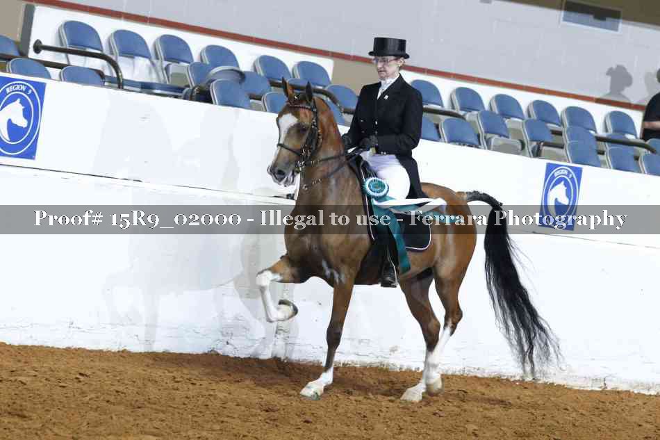 Proof Number 15R9_02000