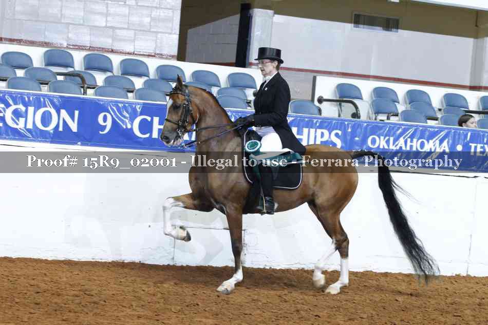 Proof Number 15R9_02001