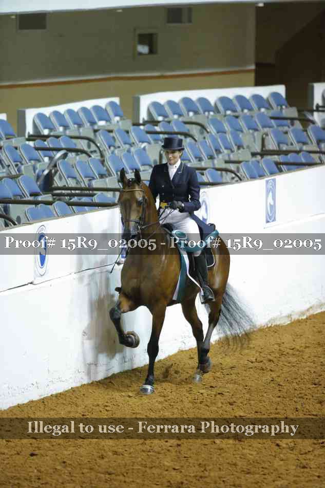 Proof Number 15R9_02005