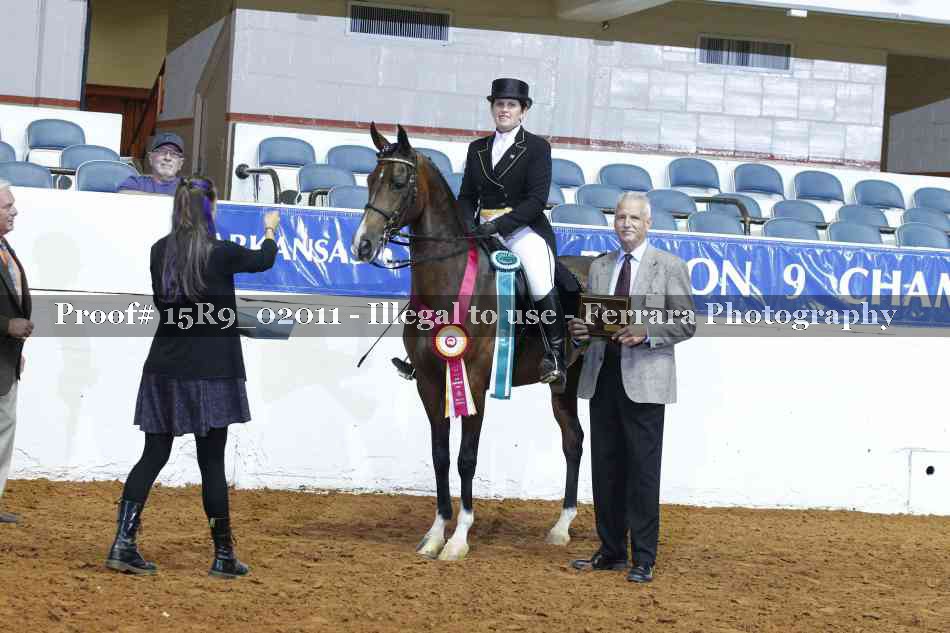 Proof Number 15R9_02011