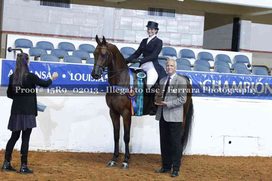 Proof Number 15R9_02013