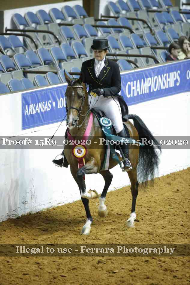 Proof Number 15R9_02020