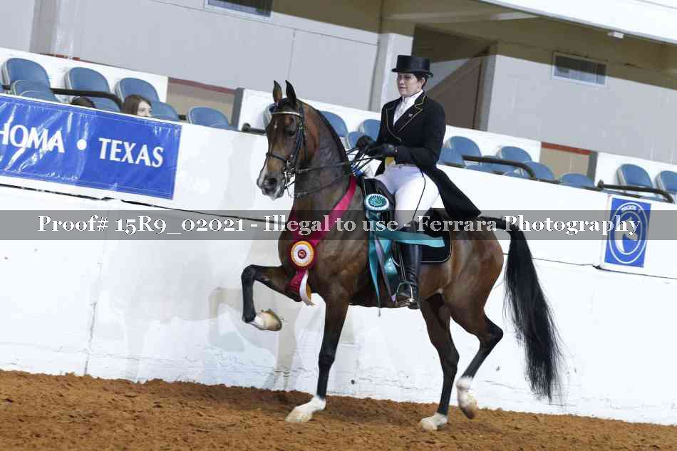 Proof Number 15R9_02021