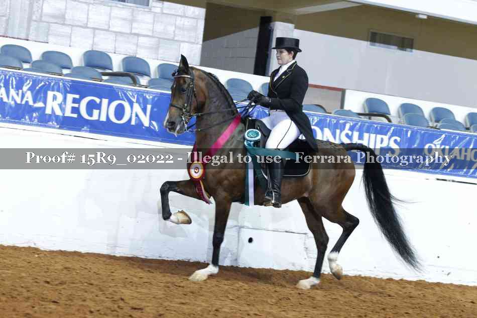 Proof Number 15R9_02022