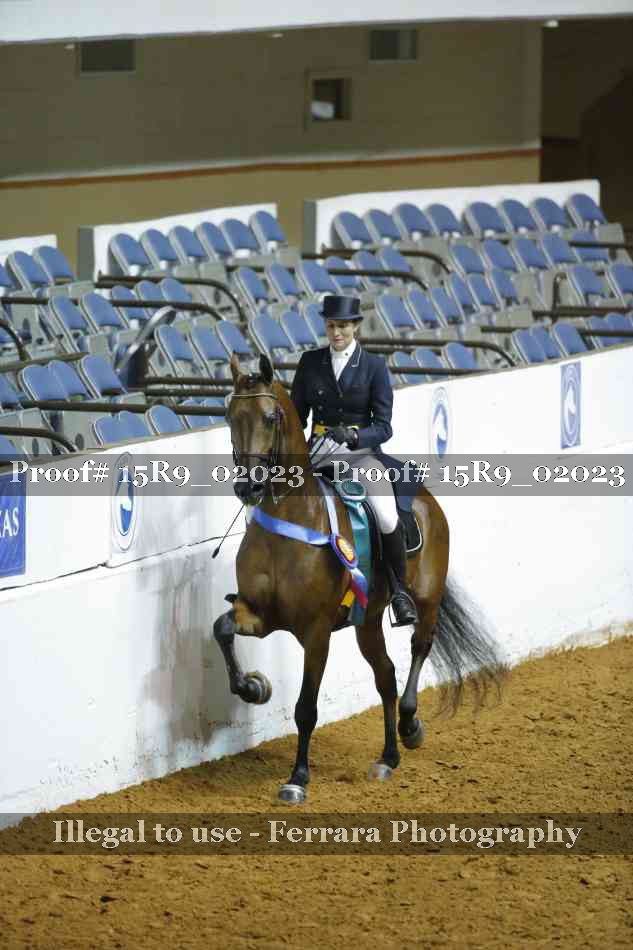 Proof Number 15R9_02023