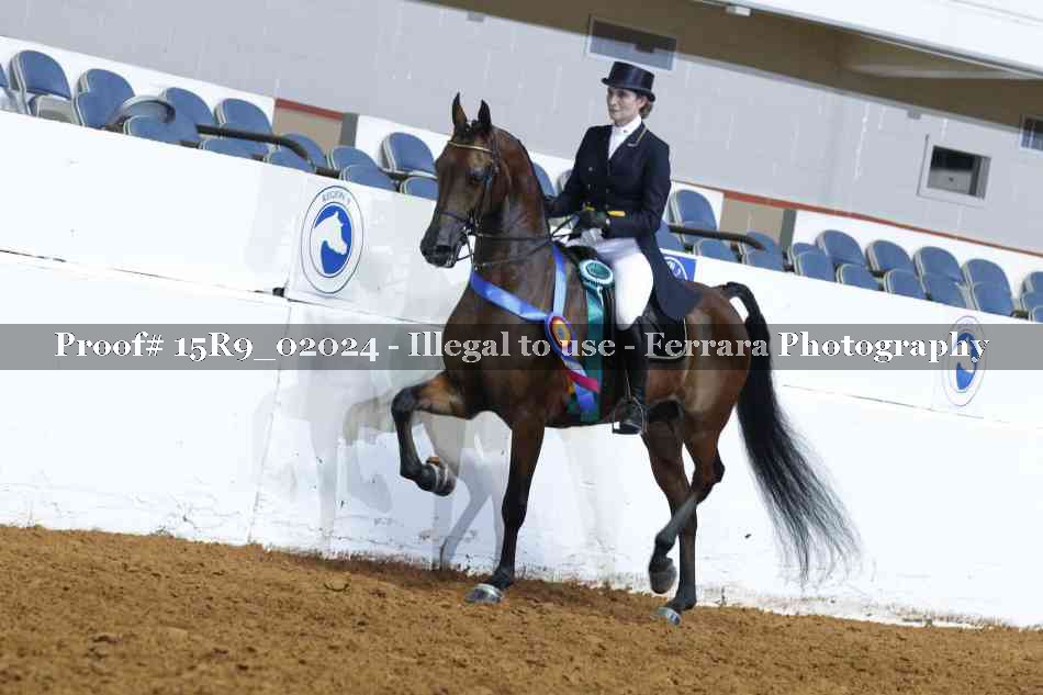 Proof Number 15R9_02024