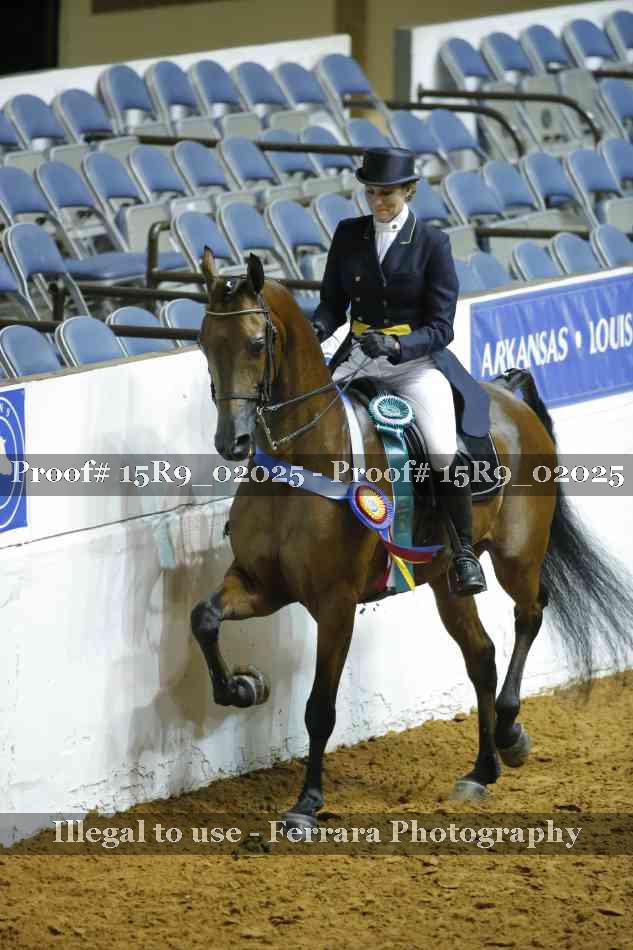 Proof Number 15R9_02025