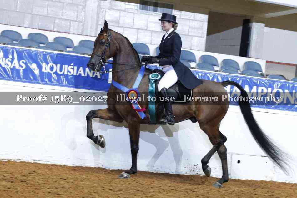 Proof Number 15R9_02027