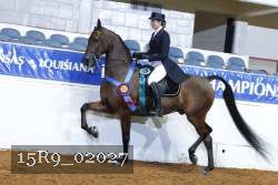 15R9_02027 thumbnail