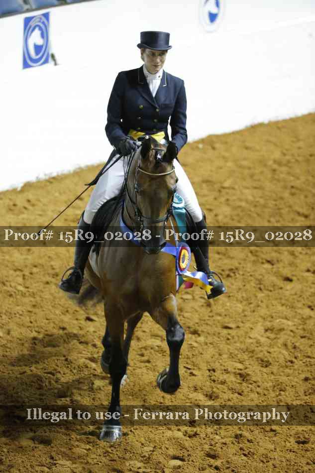Proof Number 15R9_02028