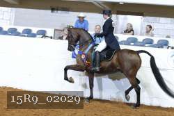 15R9_02029 thumbnail