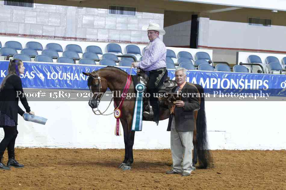 Proof Number 15R9_02077