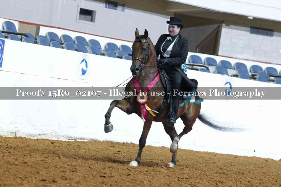 Proof Number 15R9_02107