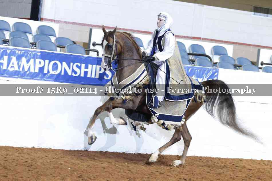 Proof Number 15R9_02114