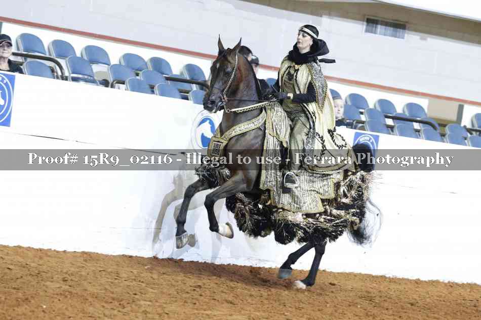Proof Number 15R9_02116