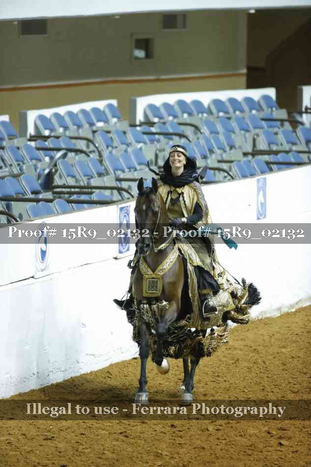 Proof Number 15R9_02132